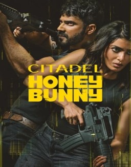 Citadel: Honey Bunny online